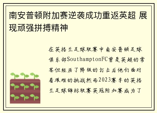 南安普顿附加赛逆袭成功重返英超 展现顽强拼搏精神